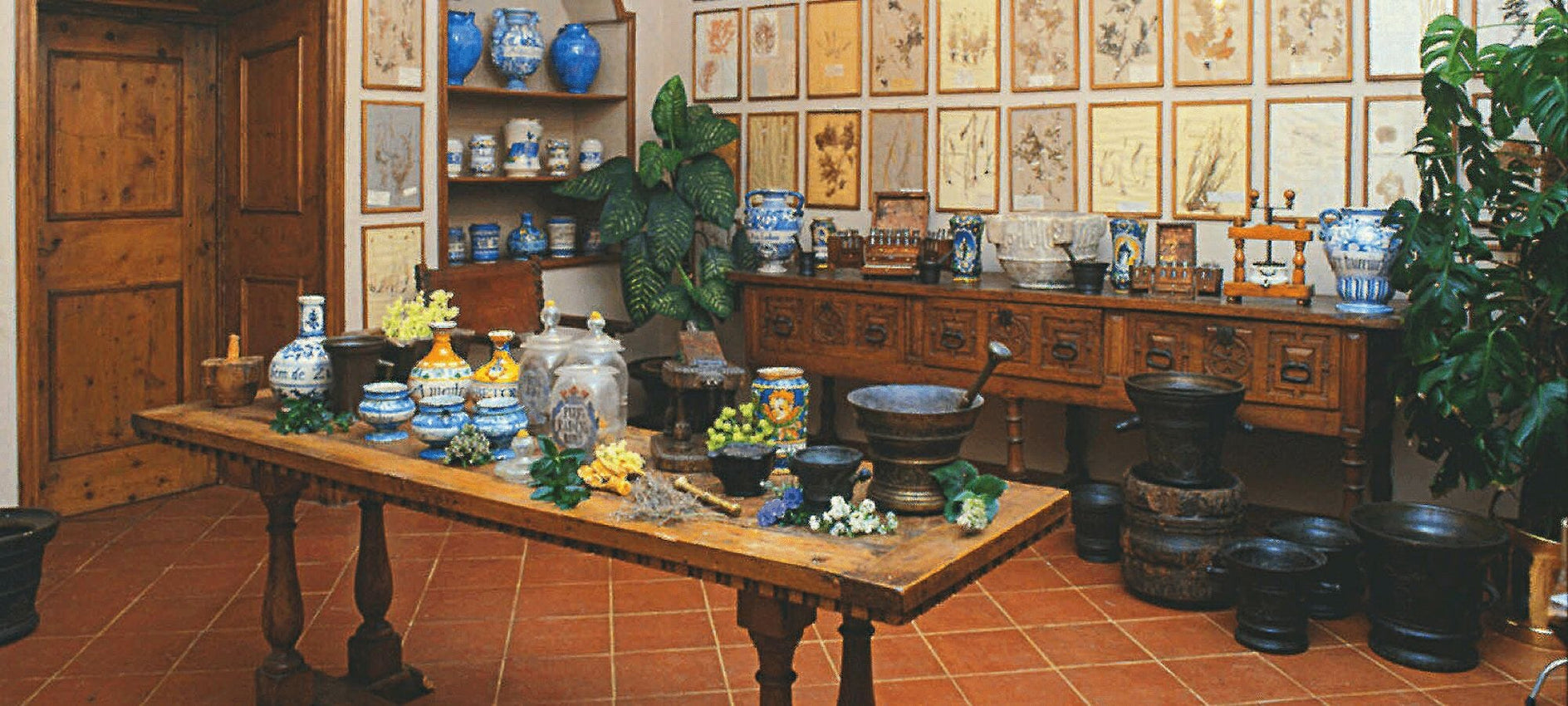Room in La Carignana with wooden apothecary table, and plants on a tiled floor.