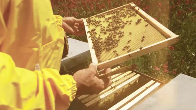 PERLIER HONEY MIEL BATH & SHOWER CREAM | HOW IT'S MADE VIDEO