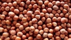 PERLIER-KELEMATA HAZELNUT BATH & BODY VIDEO